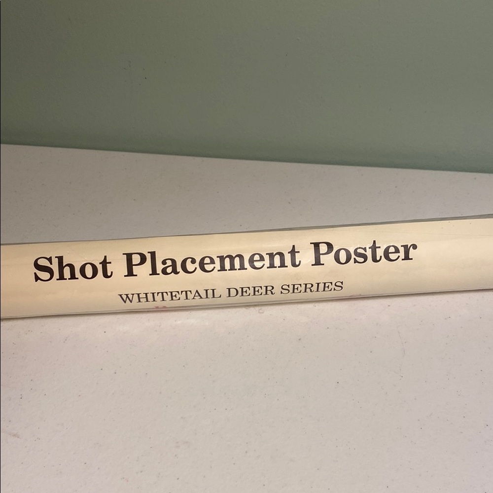 Big Game Hunting Guides Set with Shot Placement Poster